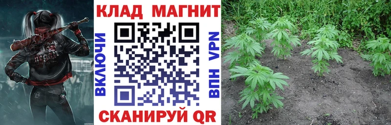 Наркота Ревда АМФ  Лсд 25  COCAIN  ГАШ  Псилоцибиновые грибы 