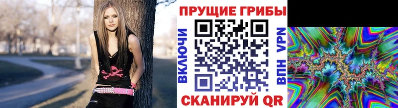 Галлюциногенные грибы GOLDEN TEACHER  Ревда 